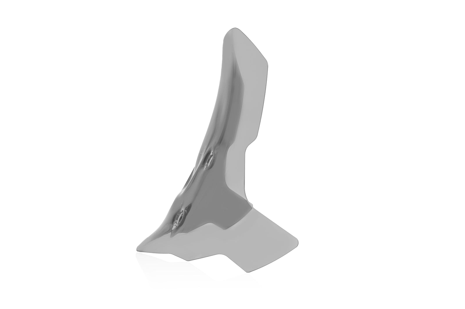 WRS Caponord Windscreen BMW F 900 GS 2024