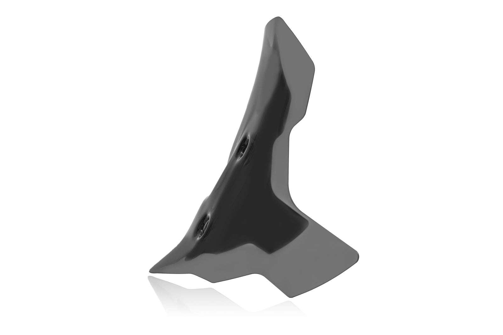 WRS Caponord Windscreen BMW F 900 GS 2024