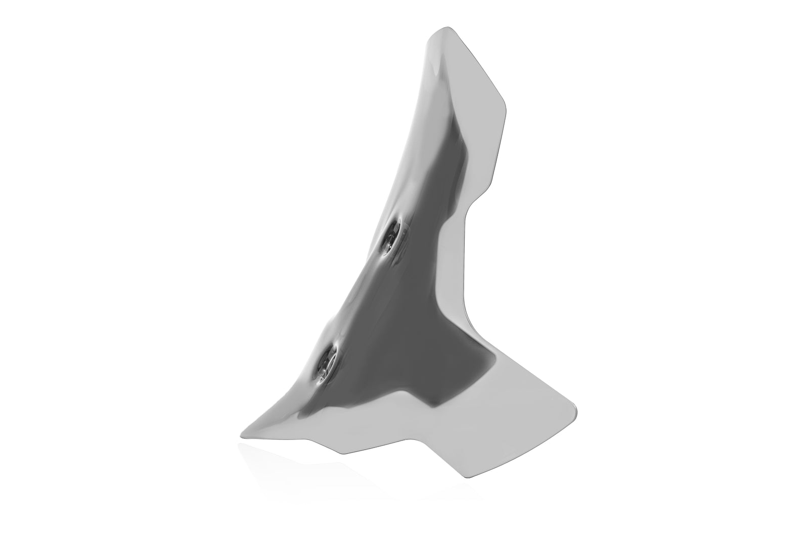 WRS Caponord Windscreen BMW F 900 GS 2024