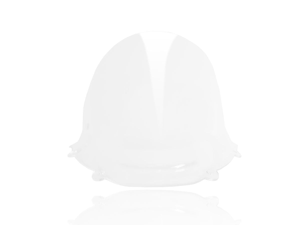 WRS Race High Windscreen Panigale 1299 / 959