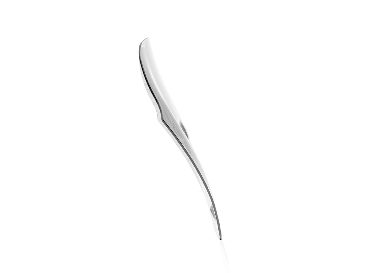 WRS Sport Windscreen Ducati Diavel V4 2023-2024