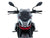 WRS SPORT WINDSCREEN APRILIA TUONO 457 2025