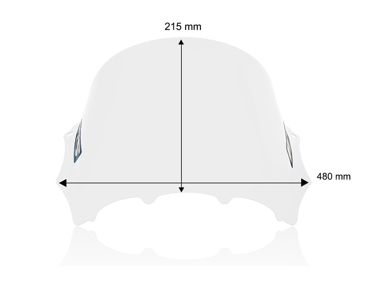 WRS RACE WINDSCREEN BMW M 1000 RR 2023-2024