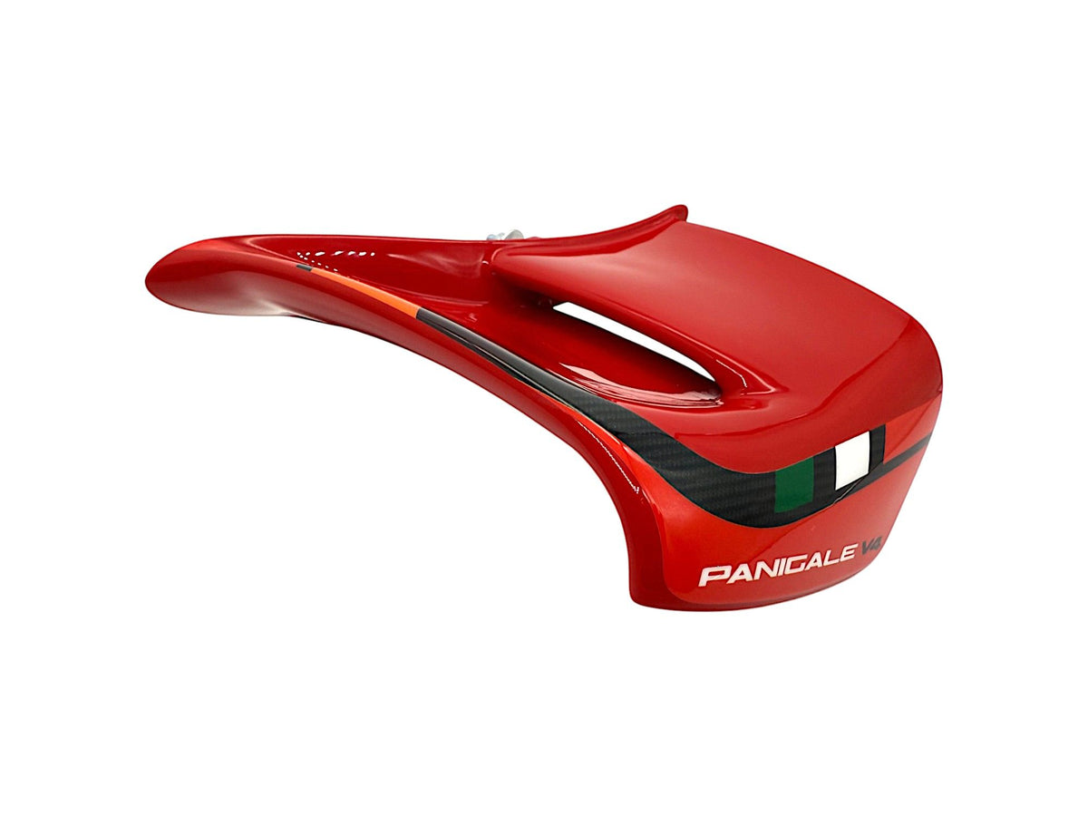WRS FIBERGLASS WINGLETS DUCATI PANIGALE V4 / S 2025